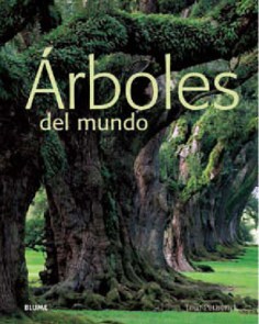 arboles_del_mundo3