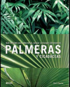 palmeras_y_cicadaceas