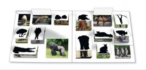 los_animales_salvajes_hoja1